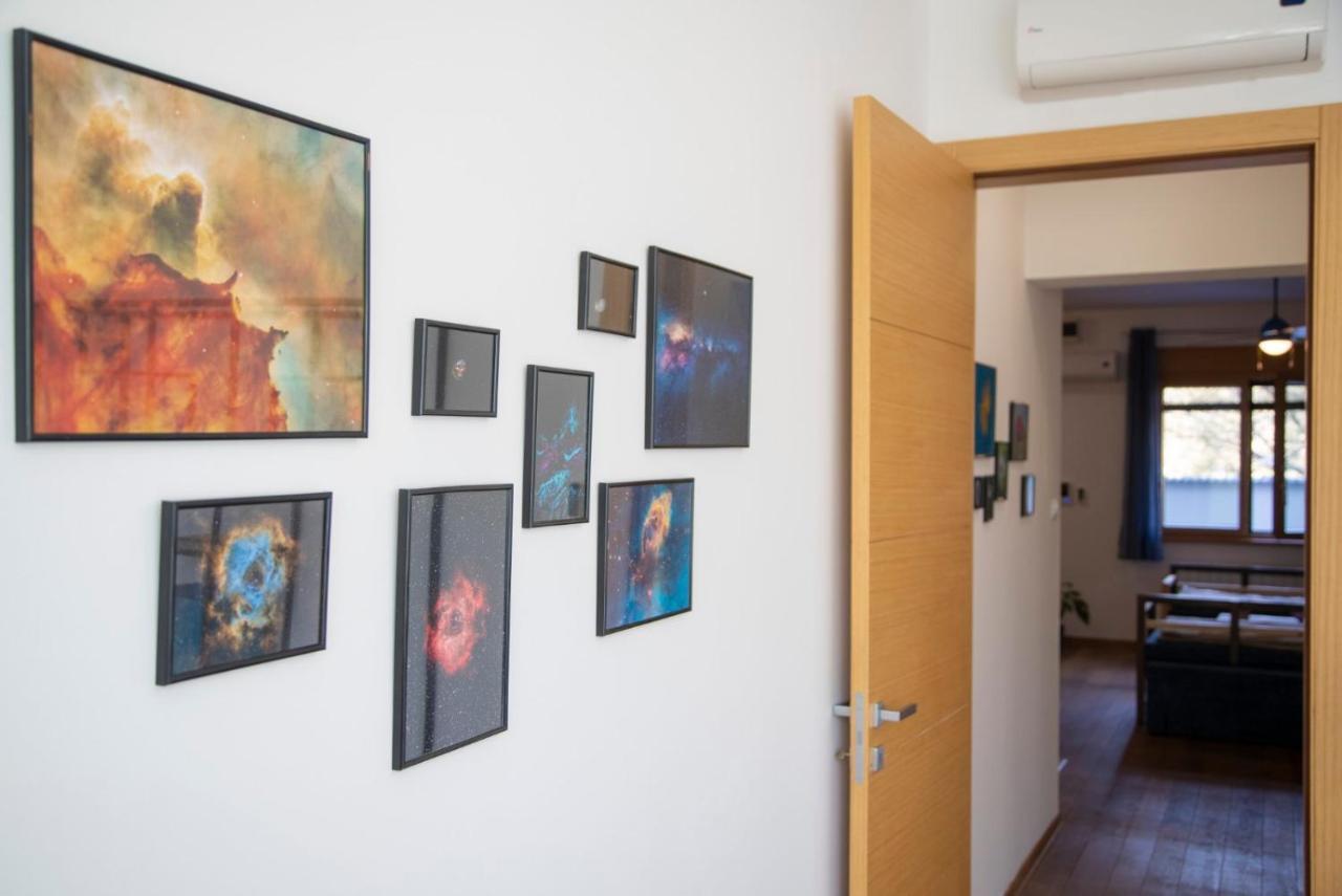 Sava Apartment Novi Sad Exteriér fotografie