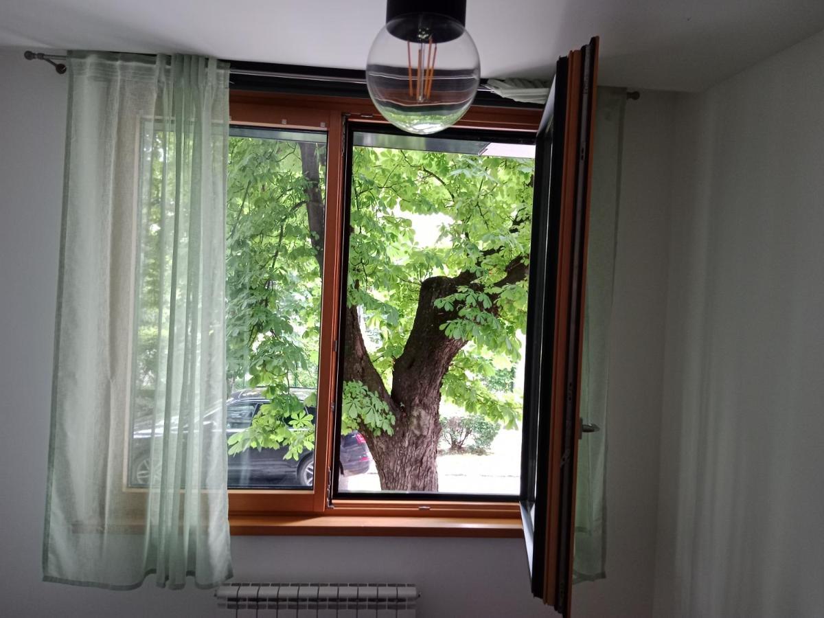 Sava Apartment Novi Sad Exteriér fotografie